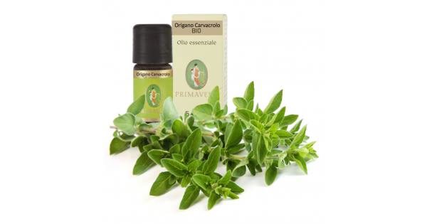 origano-carvacrolo-olio-essenziale-bio-5ml-600×315